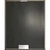 10,000 Maniacs In My Tribe RIAA Gold Album Award