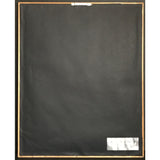 a-ha Hunting High And Low RIAA Gold Album Award