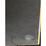 Aretha Franklin Who’s Zoomin’ Who? RIAA Gold Album Award - Record Award