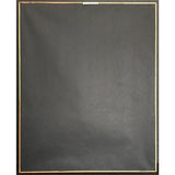 Autograph Sign In Please RIAA Gold LP Award - Record Award
