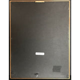 Barbra Streisand Back To Broadway RIAA Platinum Album Award - Record Award