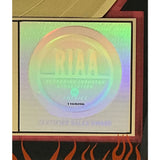 Billy Idol Greatest Hits RIAA Gold Album Award - Record Award