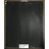 Billy Joel The Nylon Curtain RIAA Platinum Album Award - Record Award