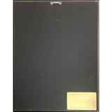 Black Box Dreamland RIAA Gold Album Award - Record