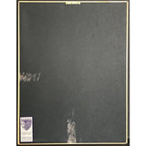 Blessid Union Of Souls Home RIAA Gold Album Award - Record Award