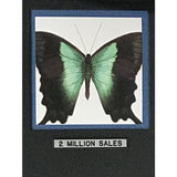 Bob Carlisle Butterfly Kisses (Shades Of Grace) RIAA 2x Multi-Platinum Album Award -NEW - Record Award