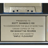 Bobby McFerrin Simple Pleasures RIAA Platinum Album Award - Record Award
