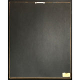 Bon Jovi 7800° Fahrenheit RIAA Gold Album Award - Record Award