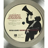 Bryan Adams Waking Up The Neighbours RIAA Platinum Album Award - Record