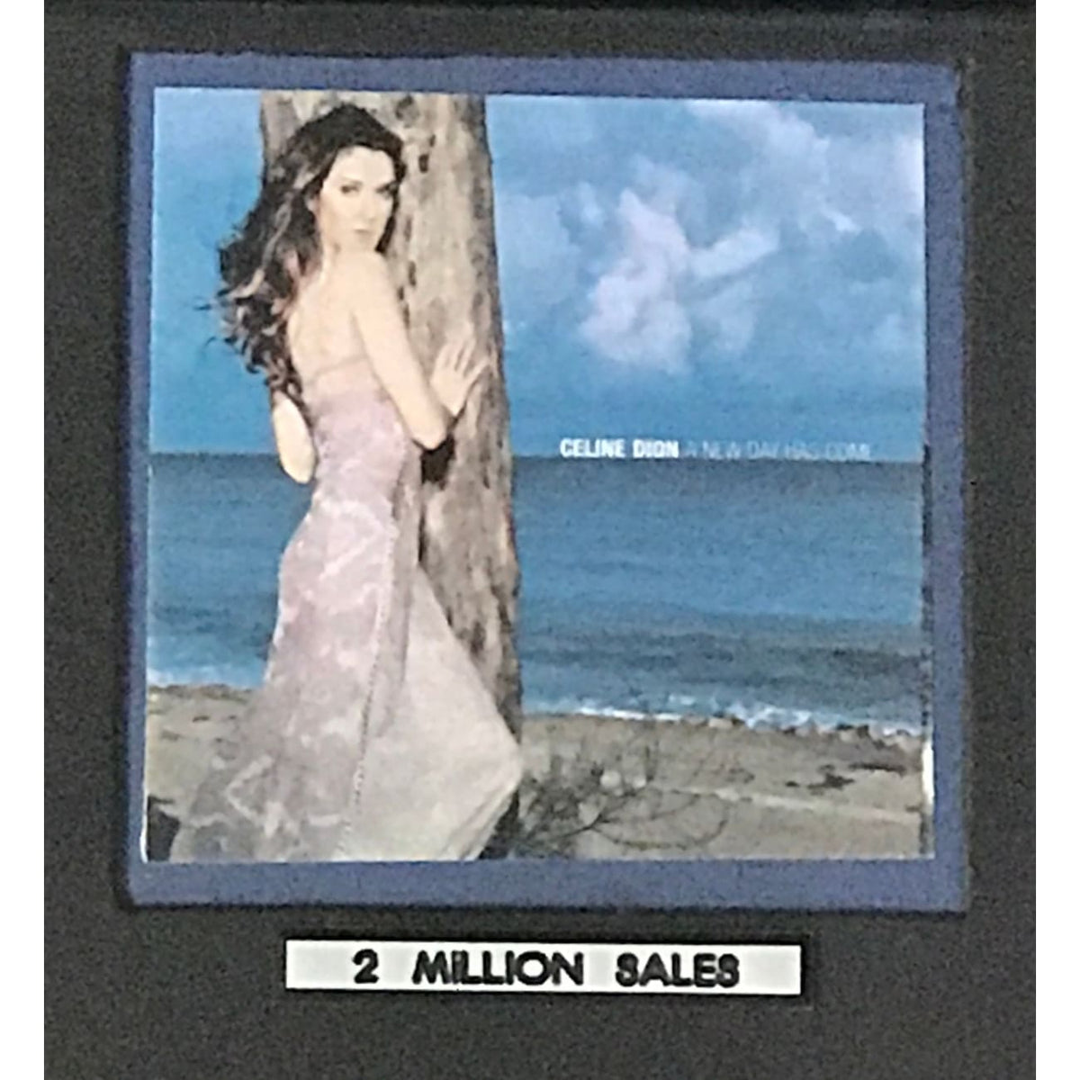musicgoldmine.com - Celine Dion A New Day Has Come RIAA 2x Multi