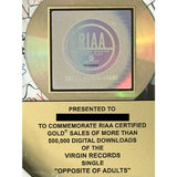 Chiddy Bang ’Opposite Of Adults’ RIAA Gold Single Award signed by the duo - Record Award