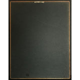 Coolio Gangsta’s Paradise RIAA 2x Multi-Platinum Album Award - Record Award