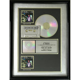 Coolio Gangsta’s Paradise RIAA 2x Multi-Platinum Album Award - Record Award