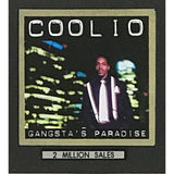 Coolio Gangsta’s Paradise RIAA 2x Multi-Platinum Album Award - Record Award
