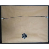 David Cook debut RIAA Platinum Album Award - Record Award