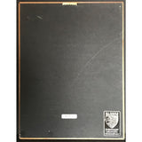 Dr. Dre Presents... The Aftermath RIAA Platinum Album Award - Record Award