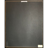 Duran Duran Notorious RIAA Platinum Album Award - Record Award
