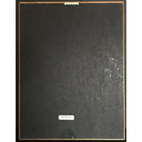 En Vogue EV3 RIAA Platinum Album Award - Record Award