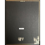En Vogue EV3 RIAA Platinum Album Award - Record Award