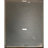 Eric Clapton Journeyman RIAA Platinum Album Award - Record Award