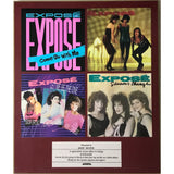 Exposé Arista Records Promo Plaque - Record Award