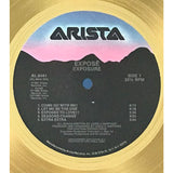 Exposé Exposure RIAA Gold Album Award - Record Award