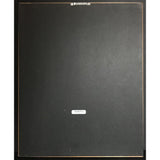 Exposé Exposure RIAA Gold Album Award - Record Award
