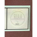 Fastball All The Pain Money Can Buy RIAA Platinum Album Award - Record Award