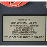Foo Fighters The Colour And The Shape RIAA Platinum Album Award - Record Award