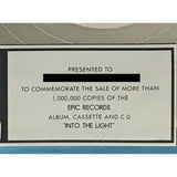 Gloria Estefan Into The Light RIAA Platinum Album Award - Record