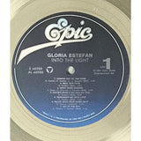 Gloria Estefan Into The Light RIAA Platinum Album Award - Record