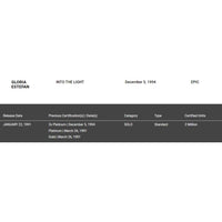 Gloria Estefan Into The Light RIAA Platinum Album Award - Record
