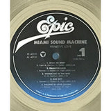 Gloria Estefan & Miami Sound Machine Primitive Love RIAA Platinum Album Award - Record Award