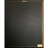 Grateful Dead Built To Last RIAA Gold Album Award - Record Award