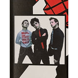 Green Day American Idiot 1M Radio Spins Award - Record Award