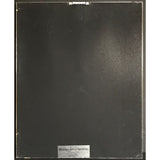 Guns N’ Roses G N’R Lies RIAA 3x Multi-Platinum LP Award - Record Award