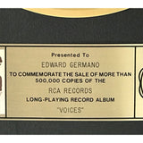 Hall & Oates Voices RIAA Gold Album Award - Record Award