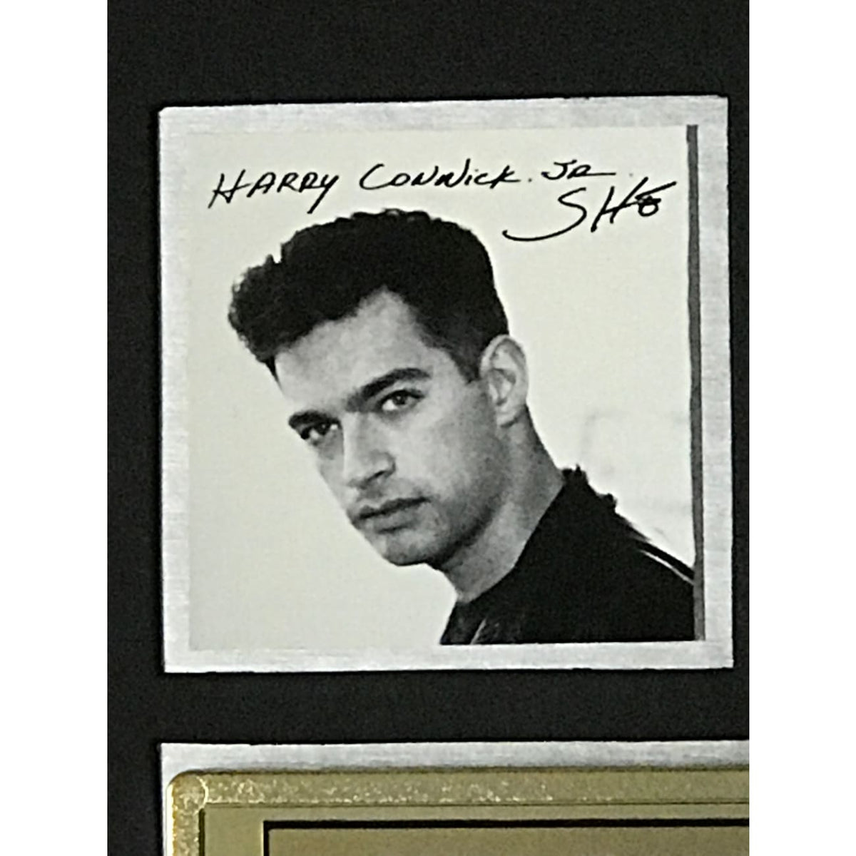 OnOff　SHE / HARRY CONNICK, JR LP Harry Connick, Jr. – She | Releases | Discogs