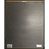 Heavy D & the Boyz Peaceful Journey RIAA Gold Album Award - Record