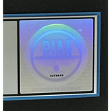 Hole Celebrity Skin RIAA Platinum Album Award - Record Award