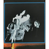 Hole Celebrity Skin RIAA Platinum Album Award - Record Award