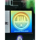 Incubus Make Yourself RIAA Platinum Award - Record Award