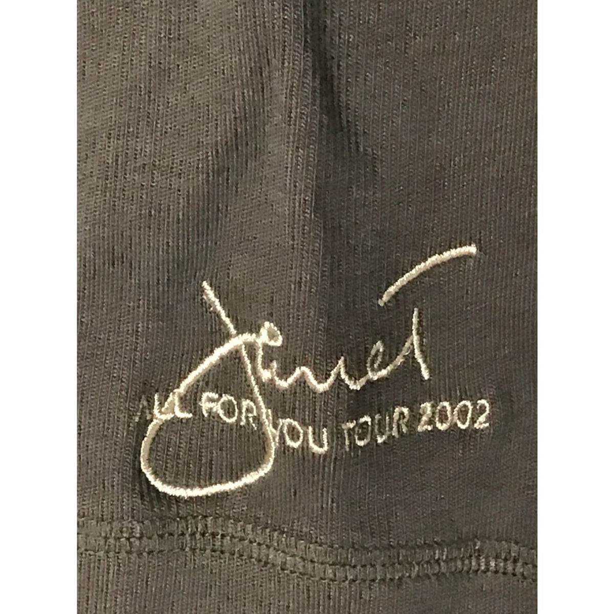 Janet Jackson All For You Tour 2002 Crew Patagonia Hoodie