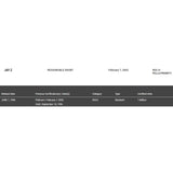 Jay-Z Reasonable Doubt RIAA Platinum Album Award - Record Award