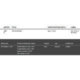 Jay-Z The Blueprint RIAA 2x Multi-Platinum Album Award - Record Award