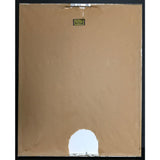 Jefferson Starship Spitfire RIAA Platinum LP Award - Record Award