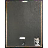 Jim Brickman Picture This RIAA Gold Album Award - Record Award