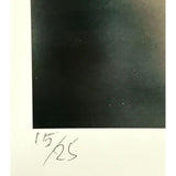 Jimi Hendrix Colin Beard Signed #15/25 1967 Color Photo RARE Music Memorabilia