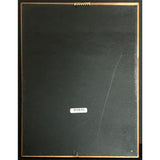 Jimi Hendrix Stone Free Tribute RIAA Gold Album Award - Record Award