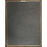 John Mellencamp Mr. Happy Go Lucky RIAA Gold Album Award - Record Award